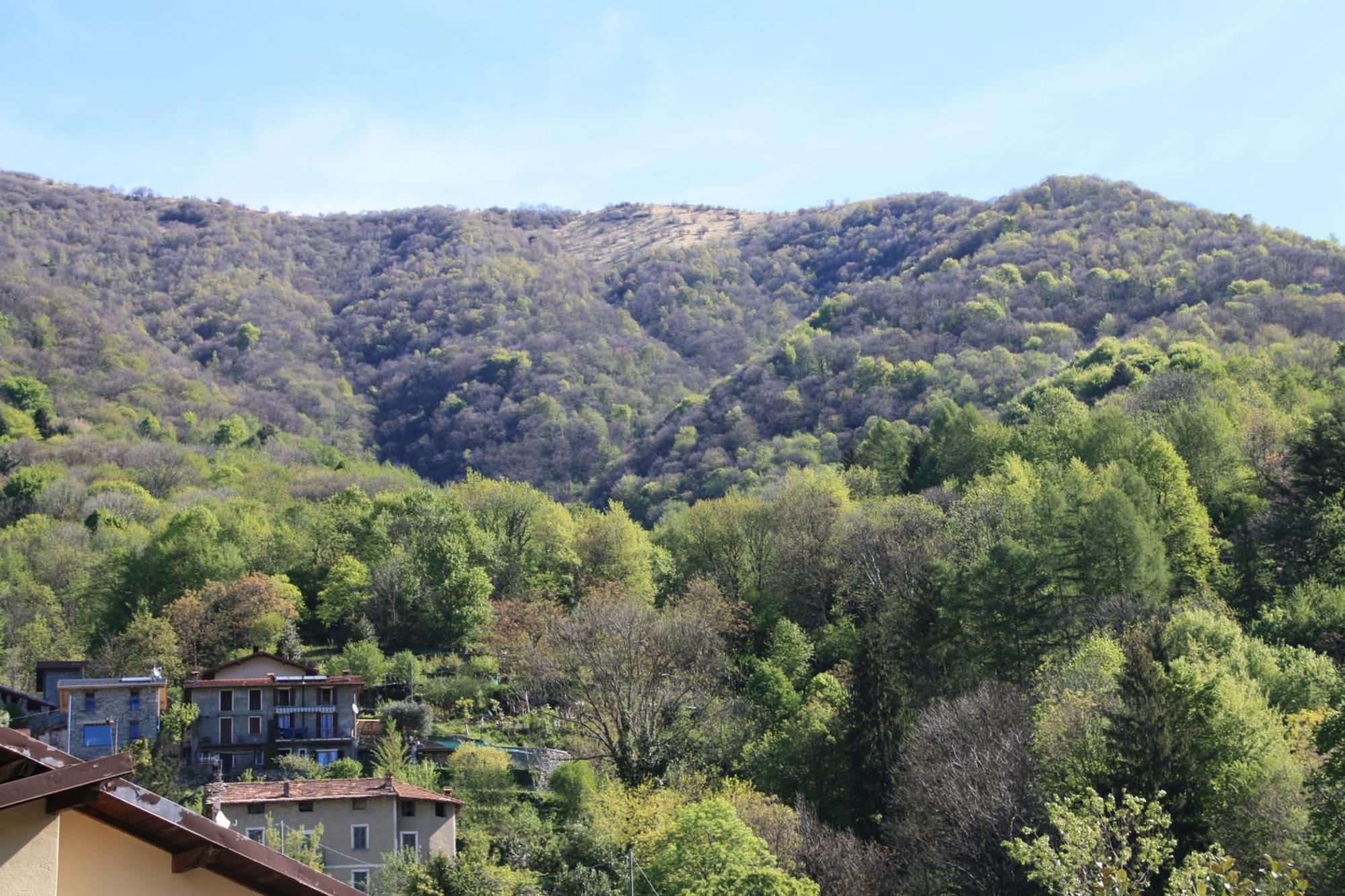 Faggeto Lario B&B Le Magnolie מראה חיצוני תמונה